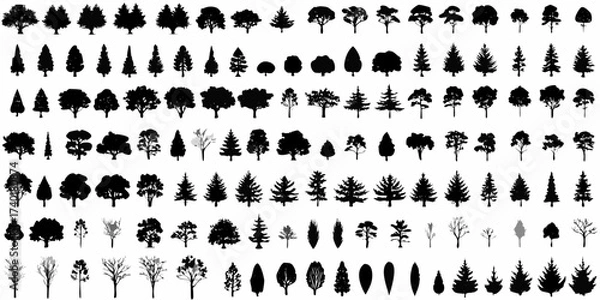 Fototapeta Collection of diverse black silhouette tree illustrations with varied shapes and sizes