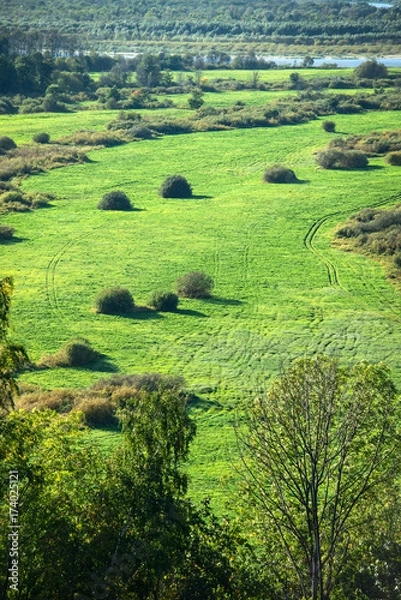 Obraz Landscape in the distance