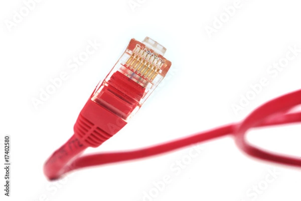Obraz Netzwerkkabel, rot