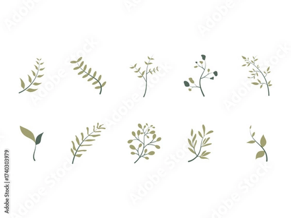 Obraz Aesthetic Leaf Minimalist