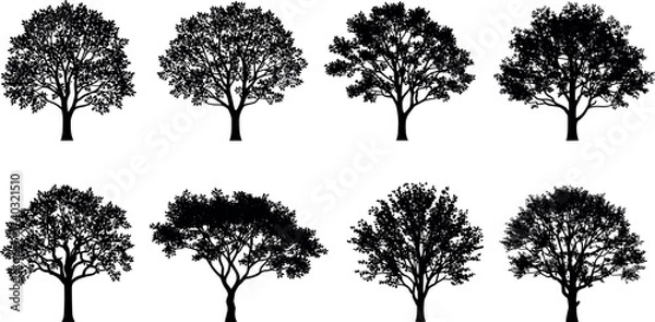 Obraz Set of black tree silhouettes with diverse shapes and canopy styles for nature, landscape, botany, and architectural design projects.