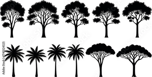 Obraz Silhouette collection of tropical and deciduous trees with diverse canopy shapes, perfect for nature, landscape, and botanical design projects