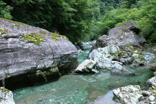 Fototapeta 安居渓谷へ涼を求めて　夏　（高知県　仁淀川町）