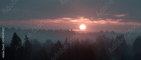 Obraz Winter solstice sunrise, subtle sun pillar over forest, atmospheric haze, cinematic width, no people 