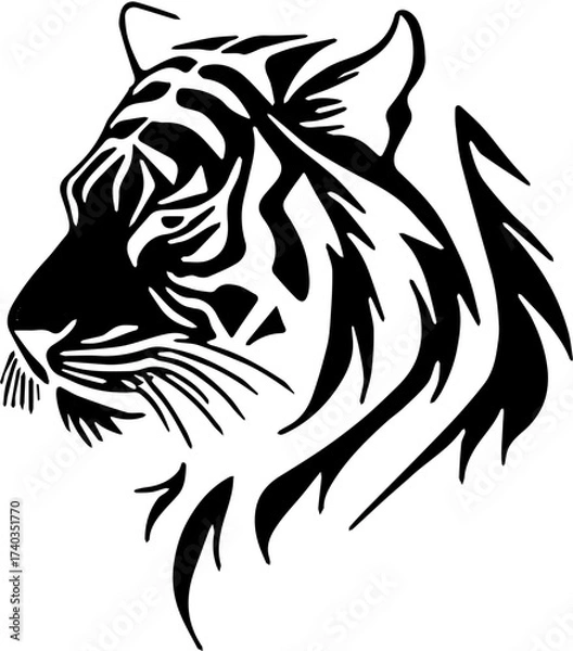 Fototapeta head tiger,tiger head isolated on white background, vector illustration.
