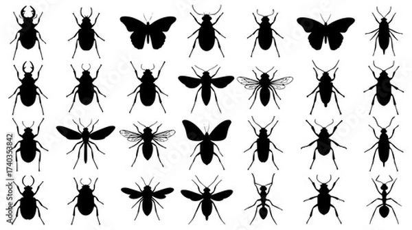 Fototapeta Insect silhouettes vector set. Beetles, Butterflies, Bugs, Mosquito, Bee, Ant and More