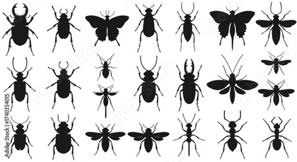 Fototapeta Insect silhouettes vector set. Beetles, Butterflies, Bugs, Mosquito, Bee, Ant and More