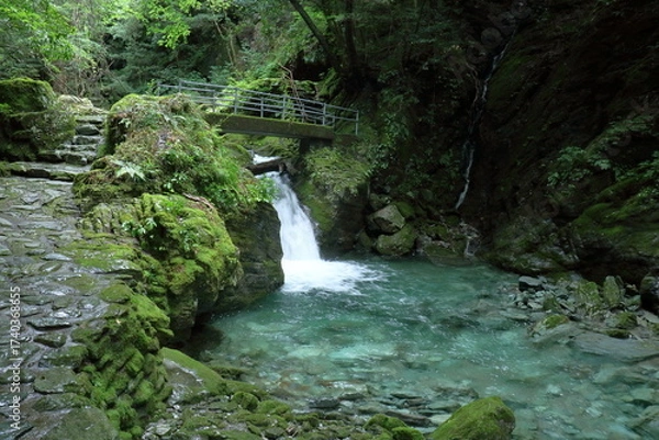 Fototapeta 飛龍の滝　道すがら一休み　夏　（高知県　安居渓谷）