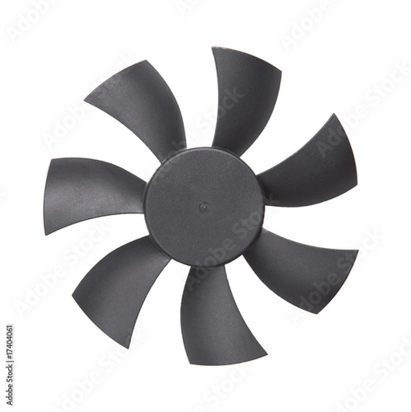 Obraz Fan blades