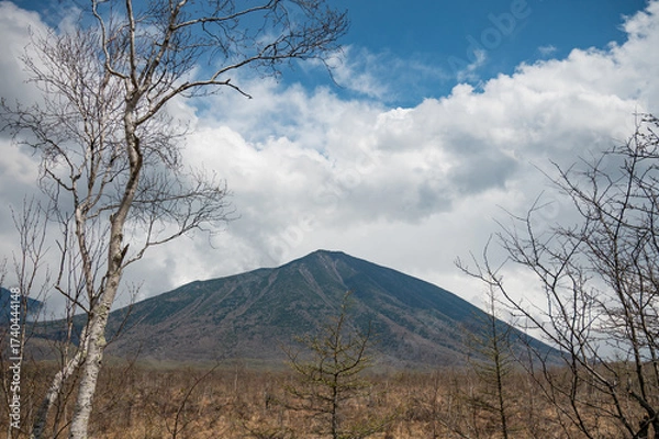 Obraz 冬の戦場ヶ原