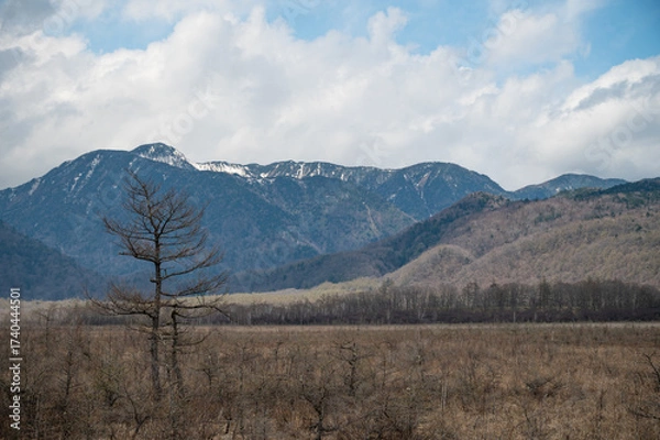 Obraz 冬の戦場ヶ原