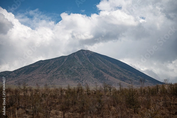 Obraz 冬の戦場ヶ原