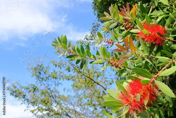 Obraz 日本　埼玉の風景