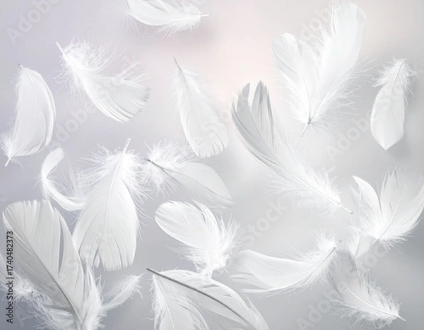 Obraz Many flying feathers 01