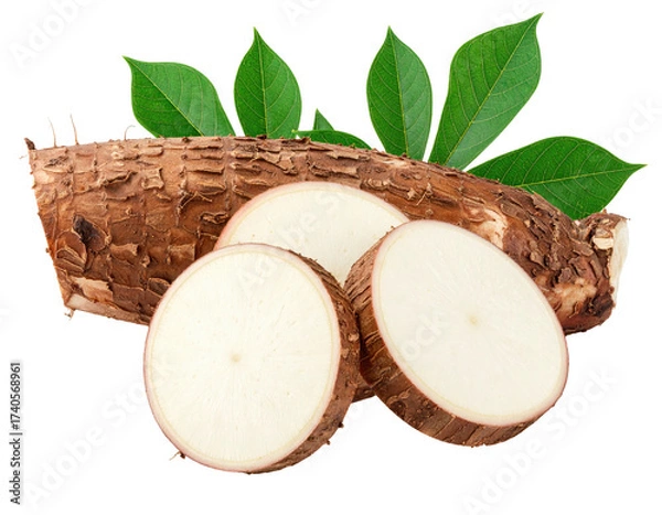 Obraz Fresh cassava root, sliced, with leaves