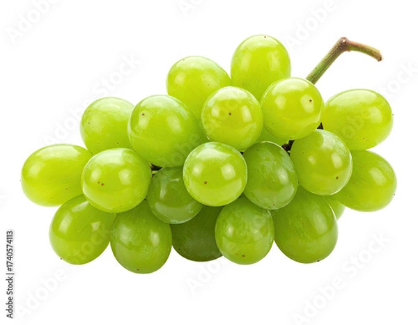 Obraz Close-up of a bunch of vibrant green grapes.  A cluster of plump, round grapes, light lime green in color, are arranged tightly together.  Stem attached.  Isolated on black