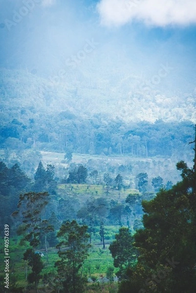 Obraz blue sky with clouds