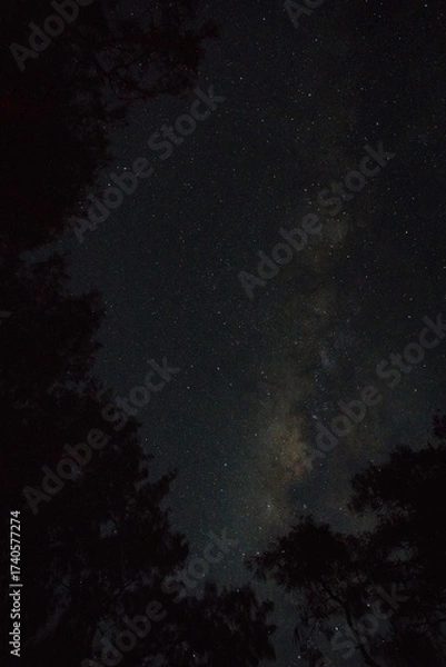 Obraz Indonesian trip