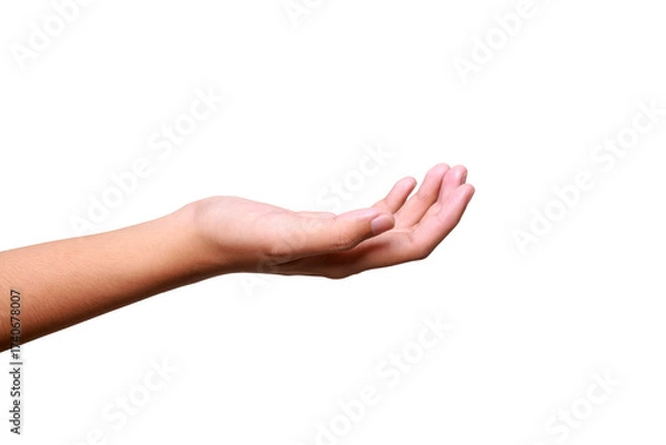 Fototapeta Female hand to hold something isolated on white background with clipping path.