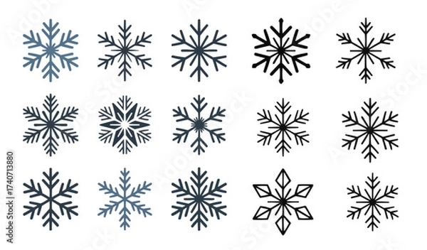 Fototapeta Collection of snowflakes in various shapes, Set of design materials for winter and Christmas Day