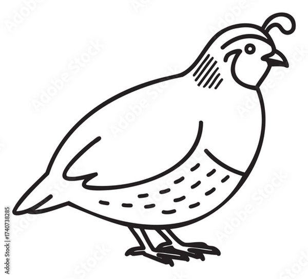 Fototapeta Simple black outline of a stylized quail with distinctive plume and patterned details, depicted in a minimalist line art style.