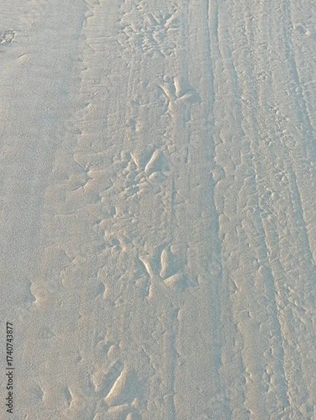 Fototapeta traces on sand