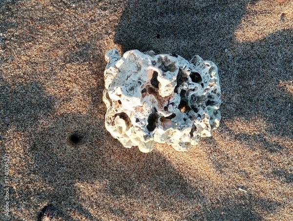 Obraz stone on the beach