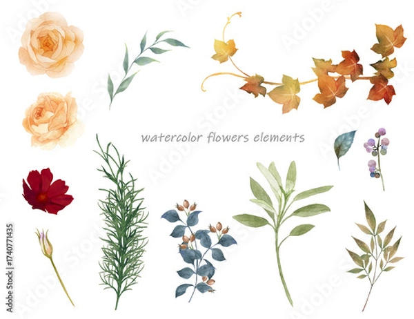 Obraz 水彩で描いた秋色の薔薇と葉の素材セット
