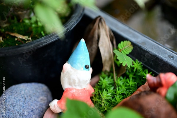 Obraz 小さな赤ちゃんのカタツムリ