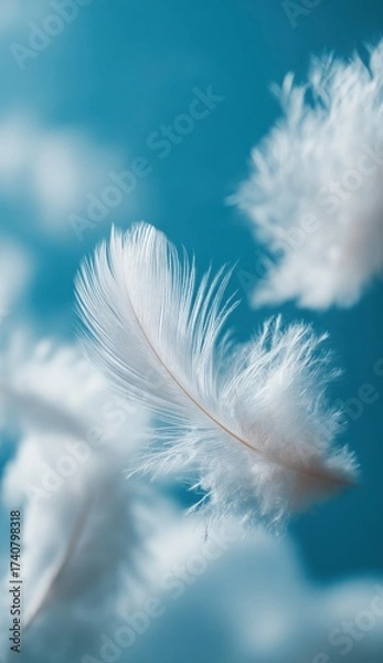 Fototapeta White feathers float gracefully against a tranquil blue sky creating a serene and artistic scene