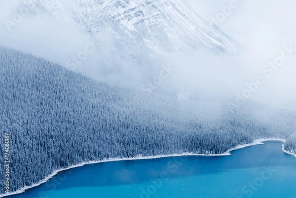 Obraz Peyto Lake Shoreline, Banff