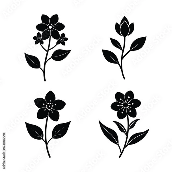 Obraz Jasmine flower icons collection for floral and botanical design