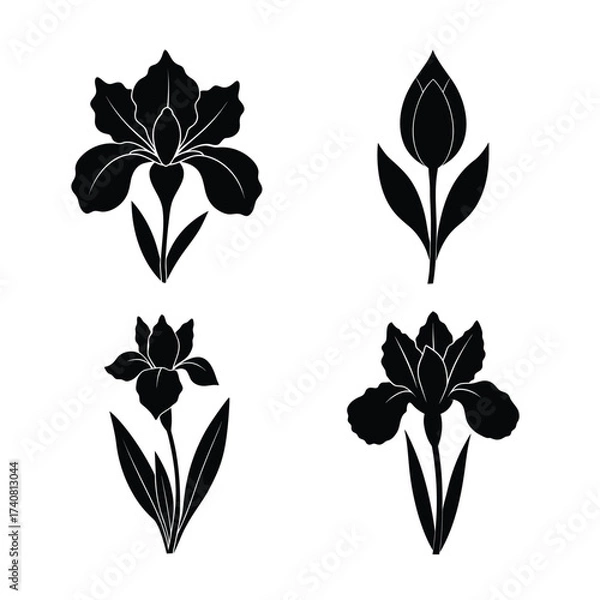 Obraz Iris flower icons collection for floral and botanical design
