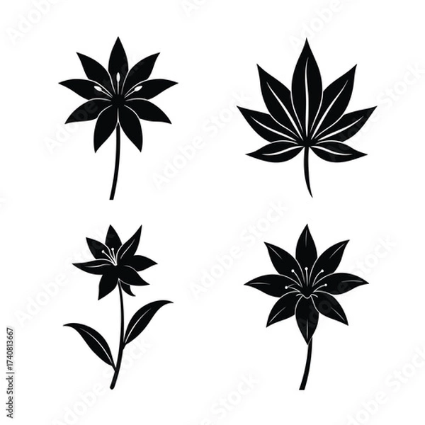 Obraz Lily flower icons collection for floral and botanical design