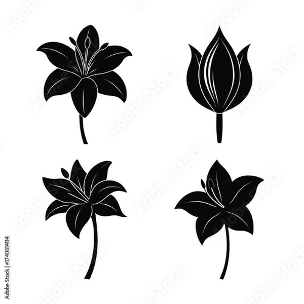 Obraz Lily Flower Icons Collection for Nature Garden and Decoration