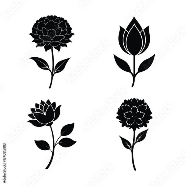Obraz Peony flower icons collection for floral and botanical designs
