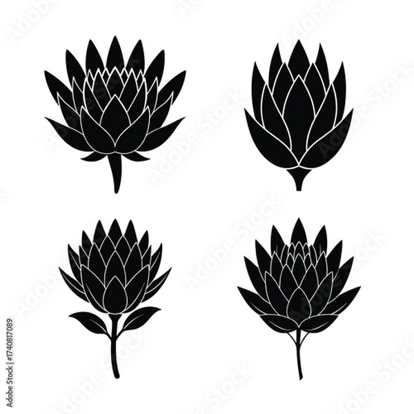 Obraz Protea flower icons collection for floral and botanical design
