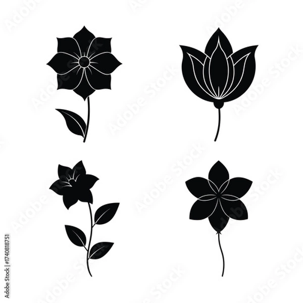 Obraz Starflower silhouette icons collection for botanical and nature design