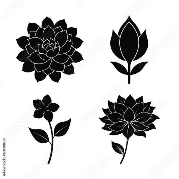 Obraz Succulent flower icons collection for modern botanical design