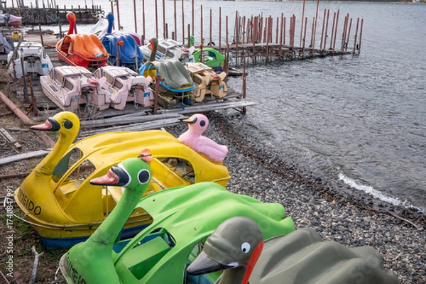 Obraz 中禅寺湖のスワンボート