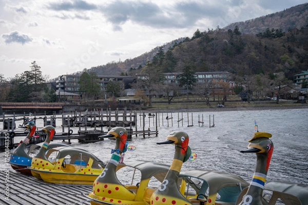 Obraz 中禅寺湖のスワンボート