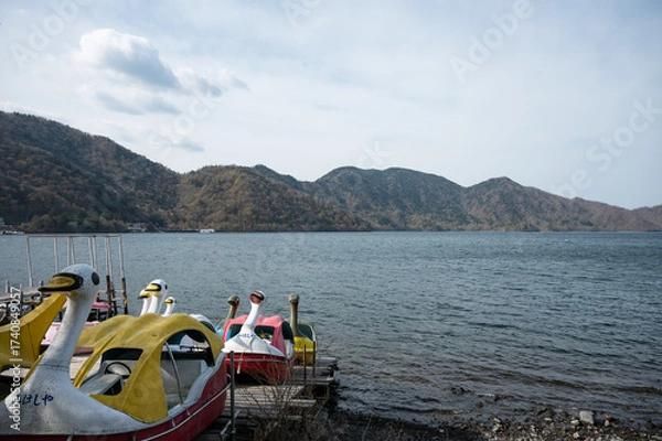 Obraz 中禅寺湖のスワンボート