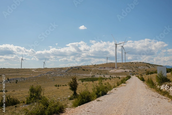 Fototapeta Wind turbines on a grassy hill under a blue sky with white clouds A dirt road leads to the turbines
