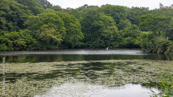 Fototapeta 信州斑尾高原の夏　赤池のある風景　飯山市　長野県
