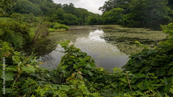 Fototapeta 信州斑尾高原の夏　赤池のある風景　飯山市　長野県