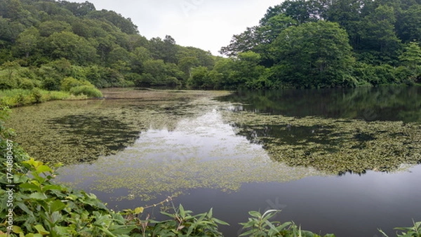 Fototapeta 信州斑尾高原の夏　赤池のある風景　飯山市　長野県