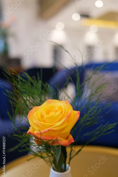 Fototapeta Close up of a yellow rose with green stems in a small white vase The background features a blurred blue couch and soft lights creating a calm atmosphere