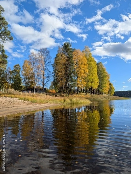 Fototapeta autumn in the north of Sweden, Vidsel