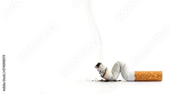 Obraz Cigarette Butt Extinguished on White Background Symbolizing Stop Smoking