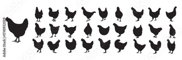 Obraz Chicken and Hen Farm Bird Vector Silhouette Icons Set: Poultry, Livestock, and Agriculture Graphics
